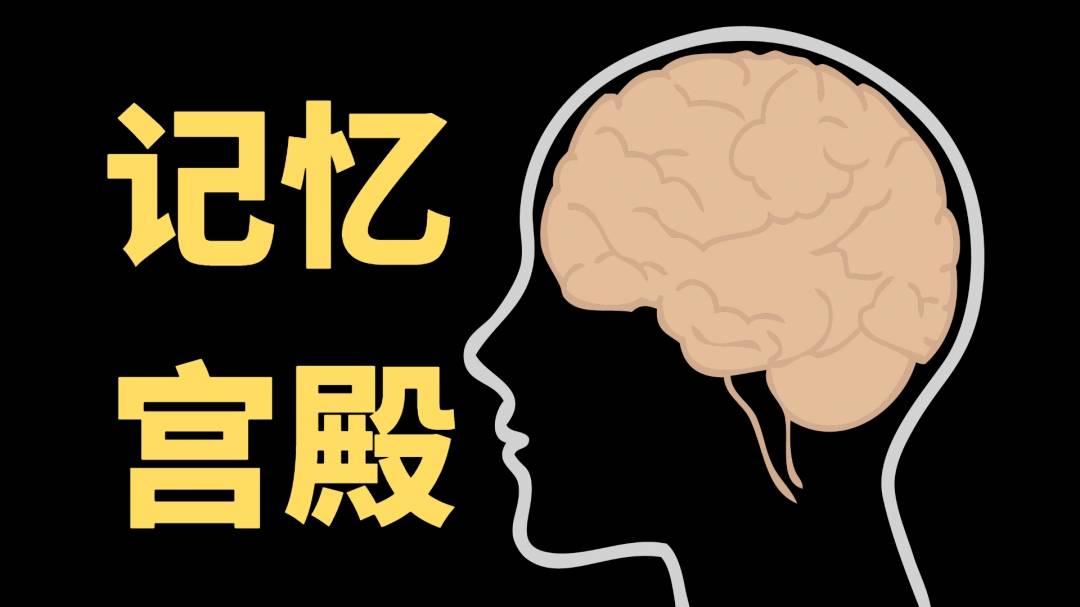 最强大脑第一季水哥_最强大脑水哥个人资料_最强大脑里面的水哥是哪一期