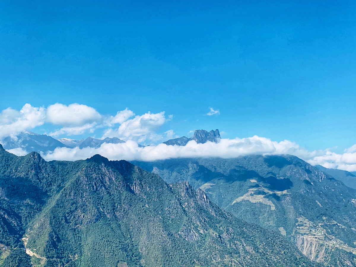 大山猫空间_猫空_猫空咖啡三山街店