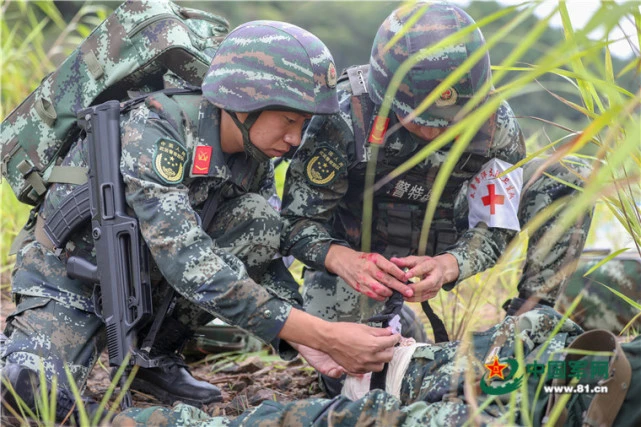 明日方舟资深干员tag最新_明日方舟资深干员tag搭配_明日方舟资深干员搭配支援