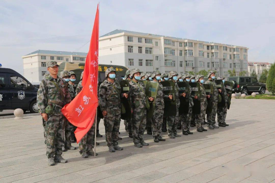 明日方舟资深干员搭配支援_明日方舟资深干员词条一览_明日方舟资深干员tag搭配