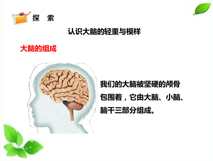 最强大脑水哥个人资料_最强大脑王昱珩辩水_最强大脑微观辨水