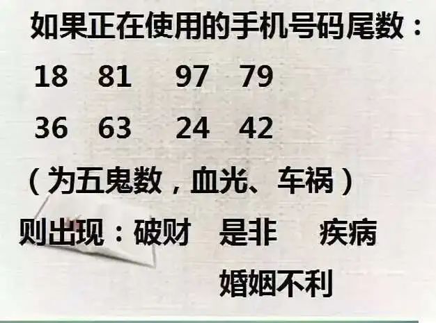 52548319：数字的神奇之谜