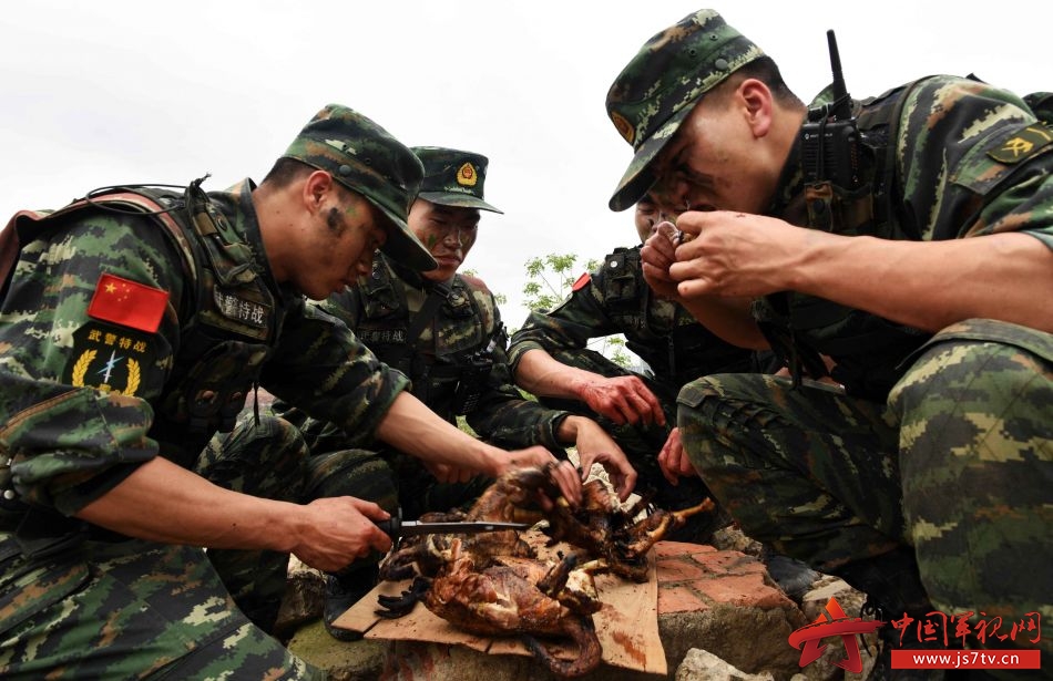 明日方舟资深干员词条一览_明日方舟中资深干员_明日方舟资深干员tag搭配