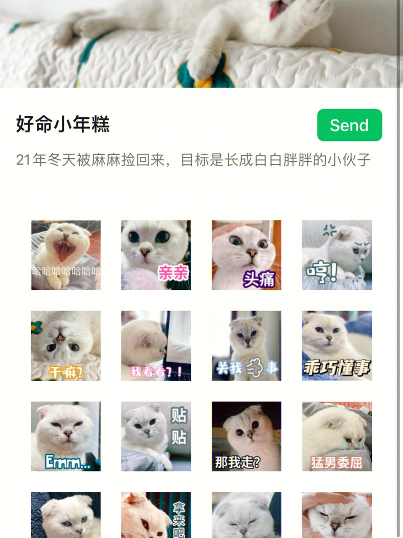 微信性系统森破小子56_郑州予森城业主微信群_郑州预森城微信群