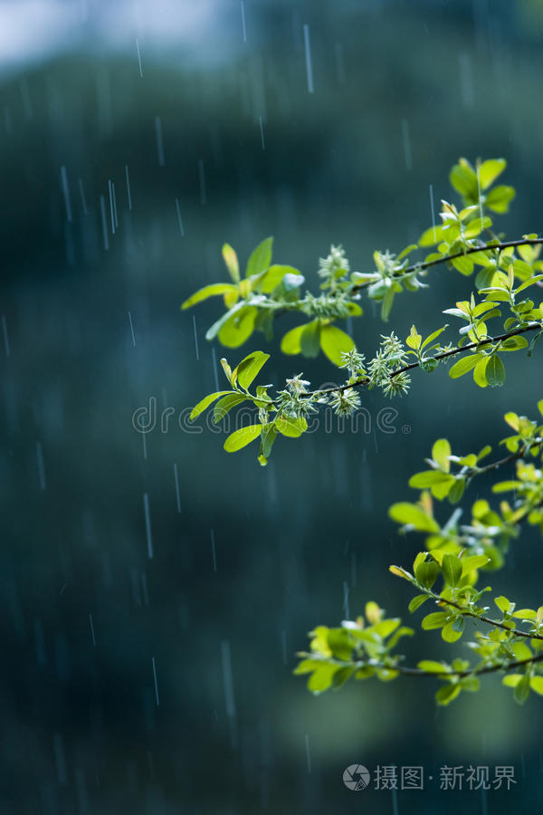dota2吧浅浅雨蝠_dota2吧雨增秋韵