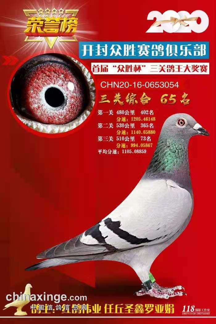 微信新功能：性系统森破小子56