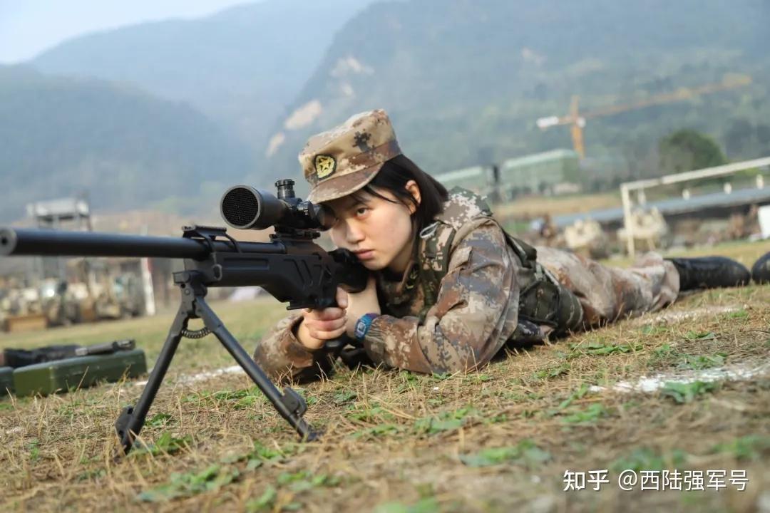 明日方舟资深干员tag最新_明日方舟资深干员搭配支援_明日方舟资深干员tag搭配