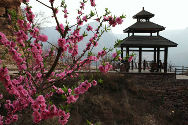 桃花源思维导图名片_桃花思维导图图片_桃花源记思维导图