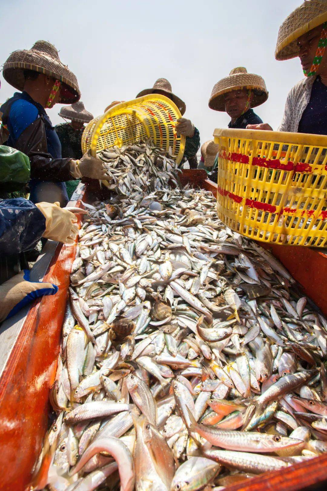 炉石传说法力浮龙_浮龙_红色法力浮龙宝宝