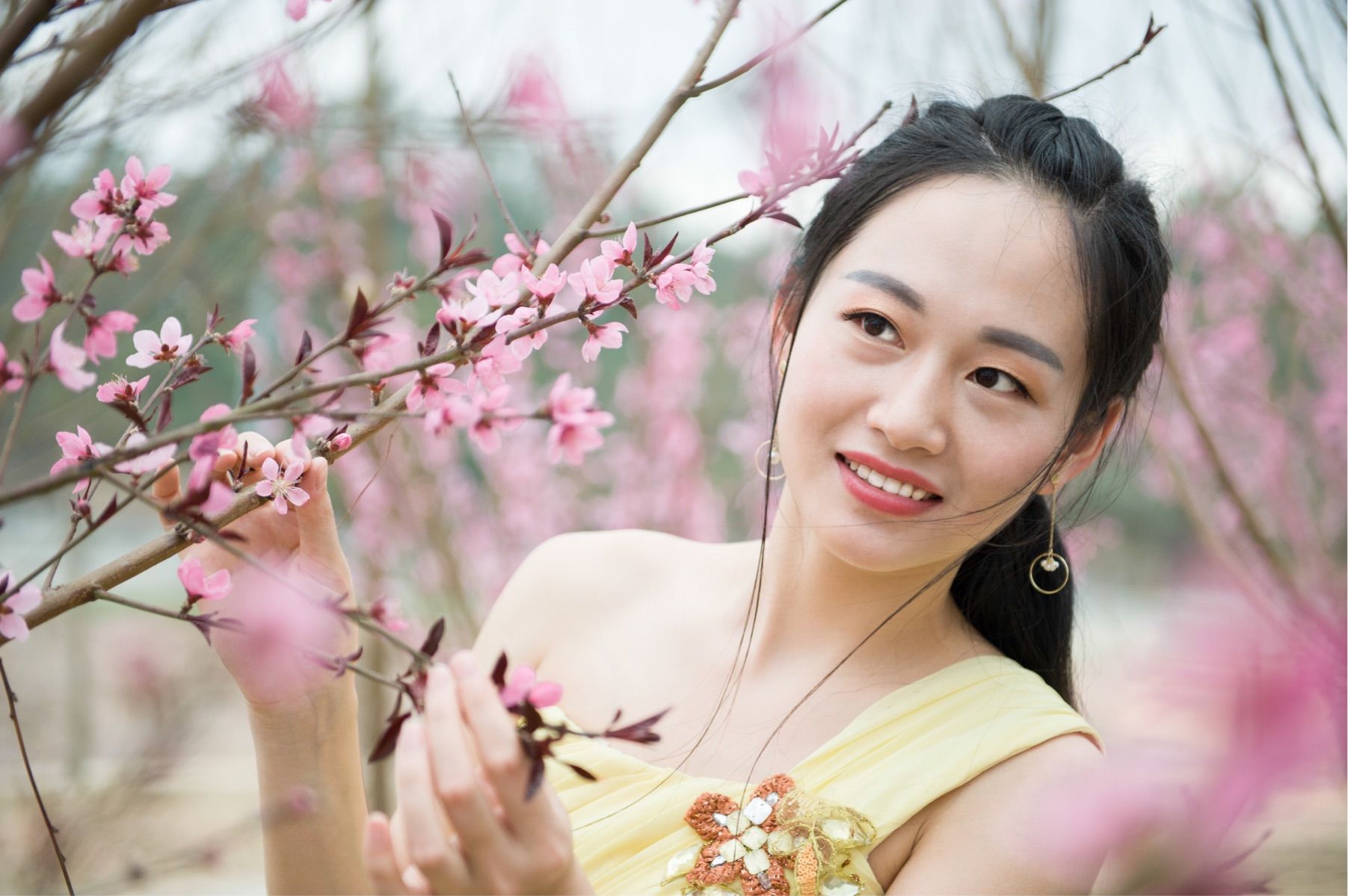 美女网站桃花岛_武林外传桃花奇缘美女玩家_桃花美女茶壶