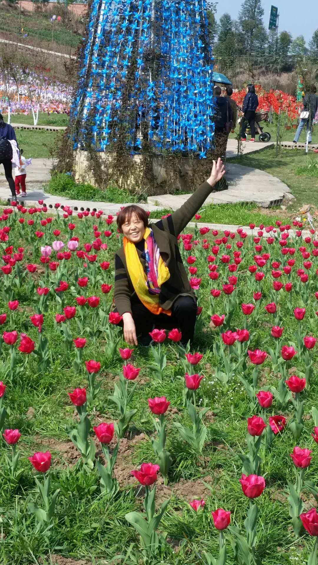 桃花族手机版之精品视频_桃花红杏花白舞蹈视频集体舞_桃花岛视频
