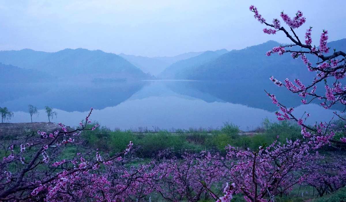 桃花族手机版之精品视频_桃花岛视频_桃花红杏花白舞蹈视频集体舞