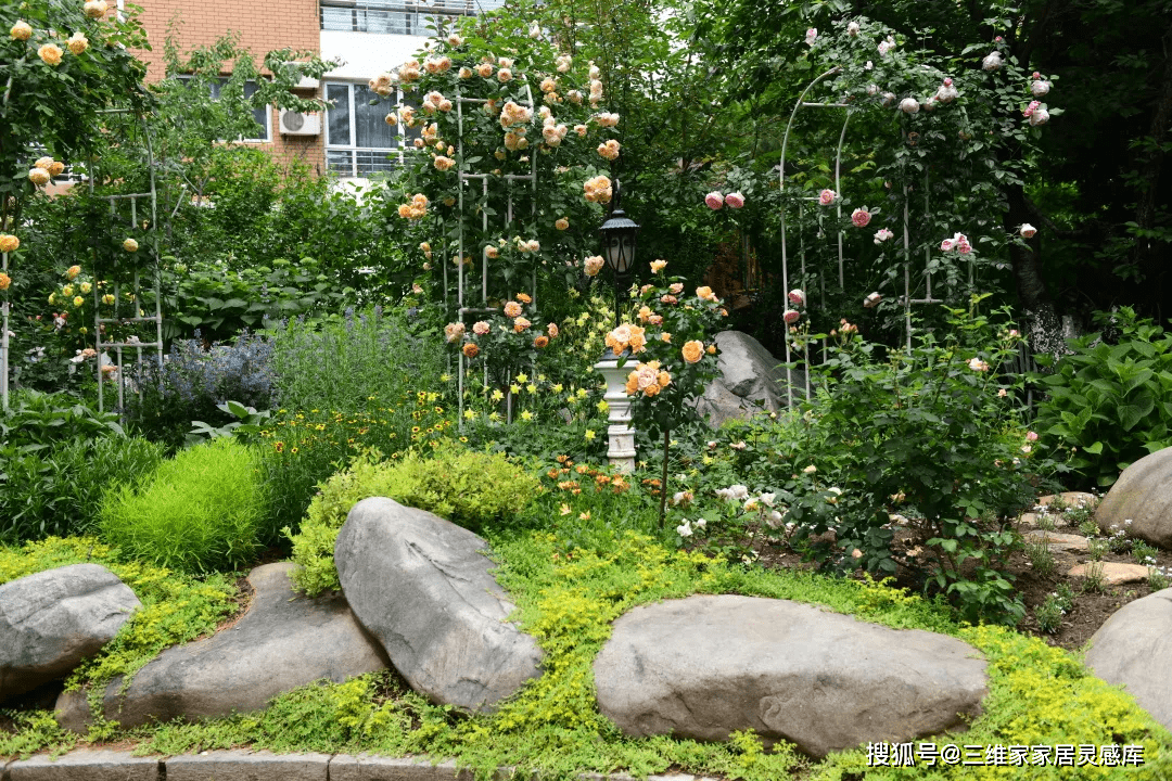 热爱自然，专注花草养护与培育