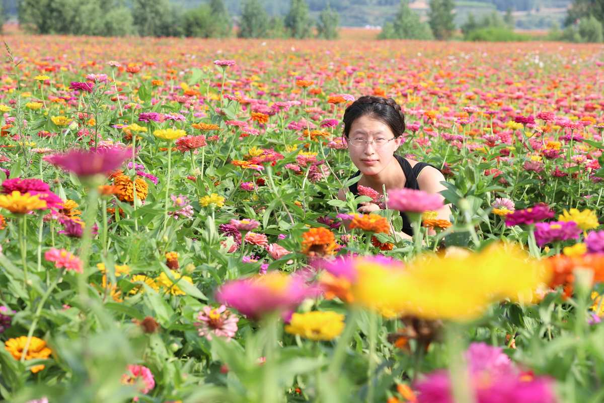 千恋万花攻略_千恋万花界面汉化补丁_千恋万花攻略中文版