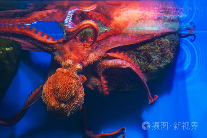 海洋之王_海洋王官网_海洋王防爆灯