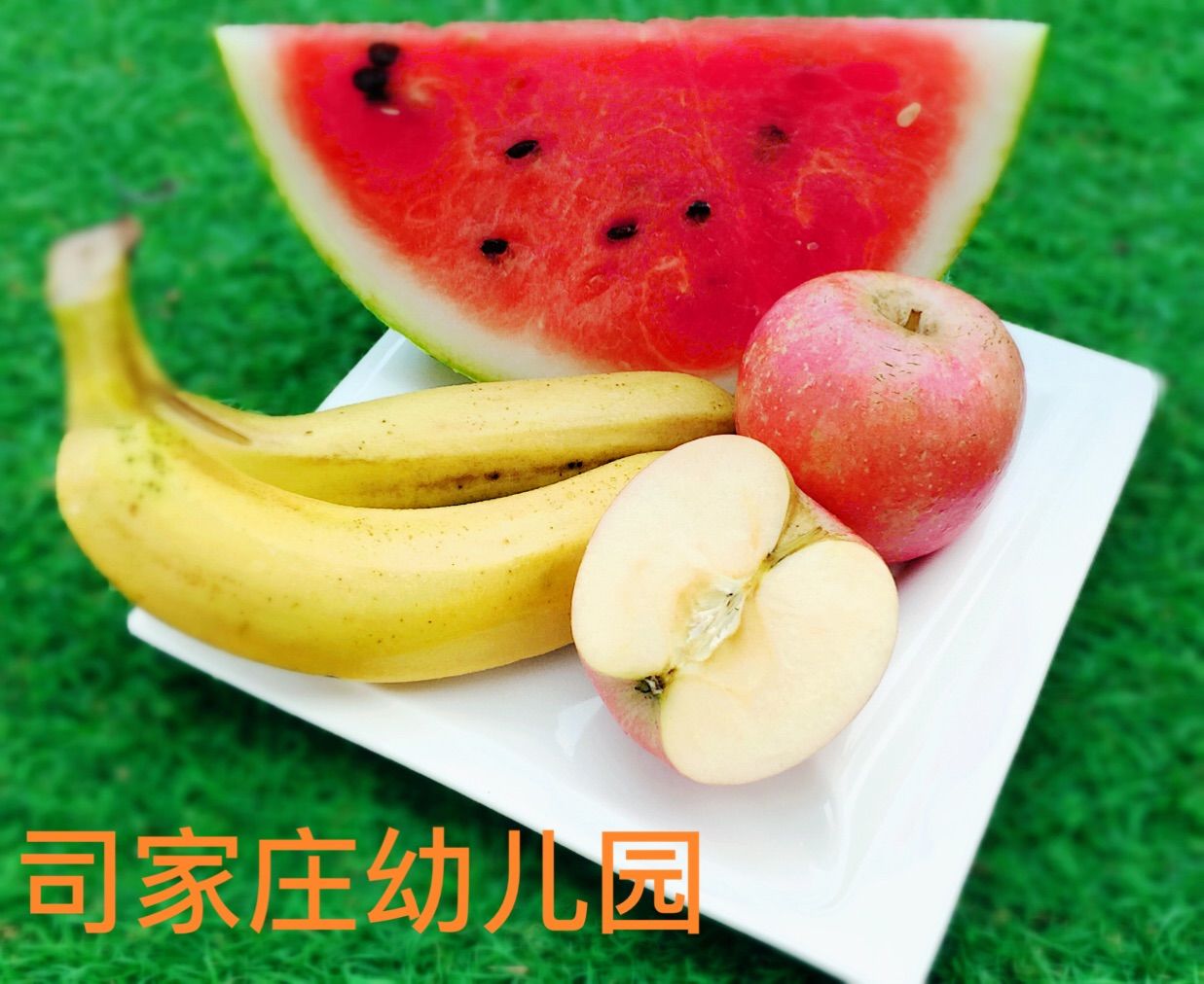 水果大作战作文怎么写_水果大作战_水果大作战怎么画