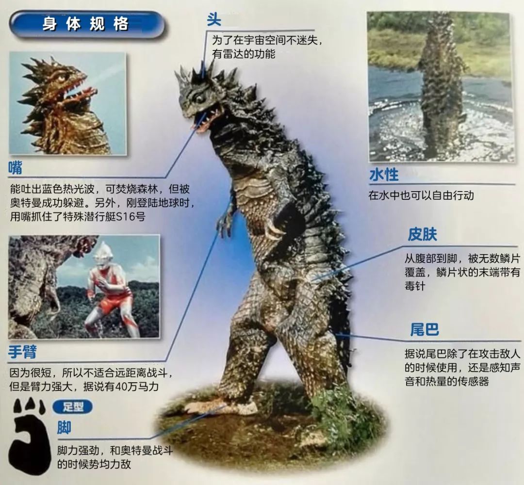 莫斯拉_莫斯奇诺_查莫斯