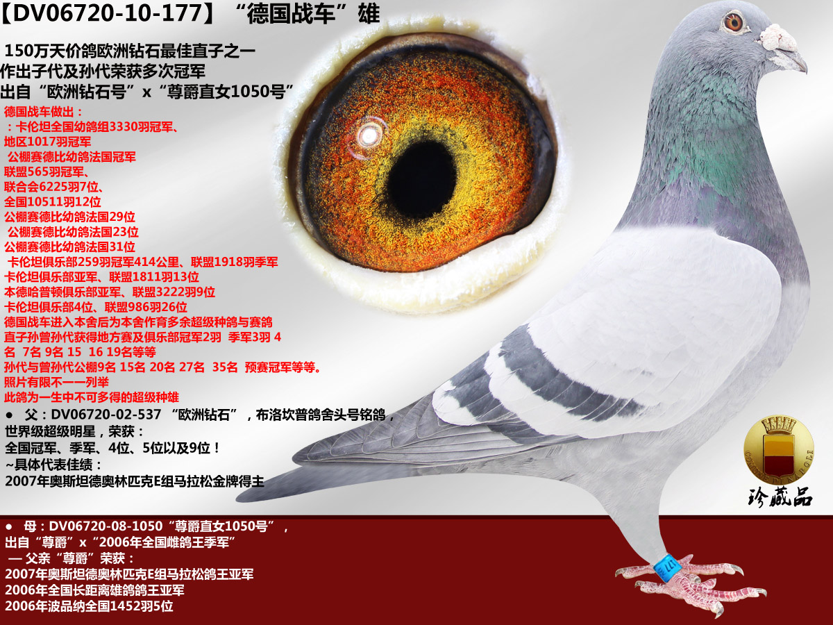 谢菲尔德将军犯罪证据俄国人_谢菲尔德将军_谢菲尔德将军真人