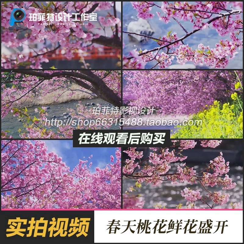 免费桃花婚姻测算_视频桃花免费网站_桃花免费视频