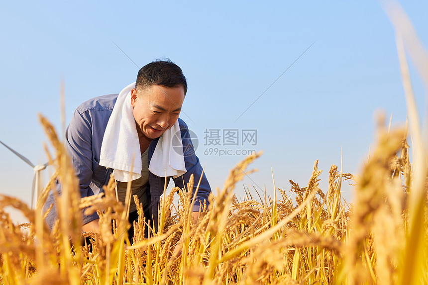 努力不白费,他获得的踏实感 努力不白费,他获得的踏实感