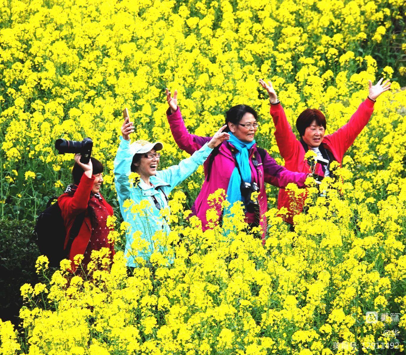 独步仙尘曾经拥有的方向感_独步仙尘TXT下载_独步仙尘