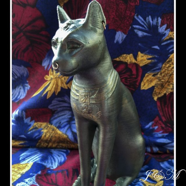 猫影_猫影幻舞_影鳄96猫怎么那么贱