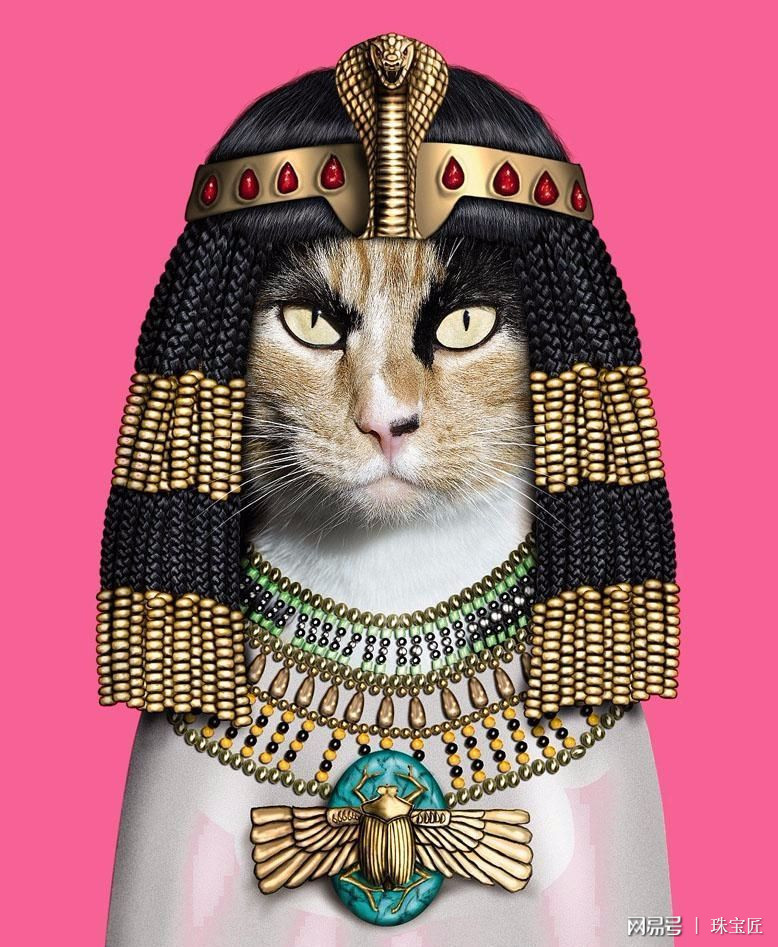 影鳄96猫怎么那么贱_猫影_猫影幻舞