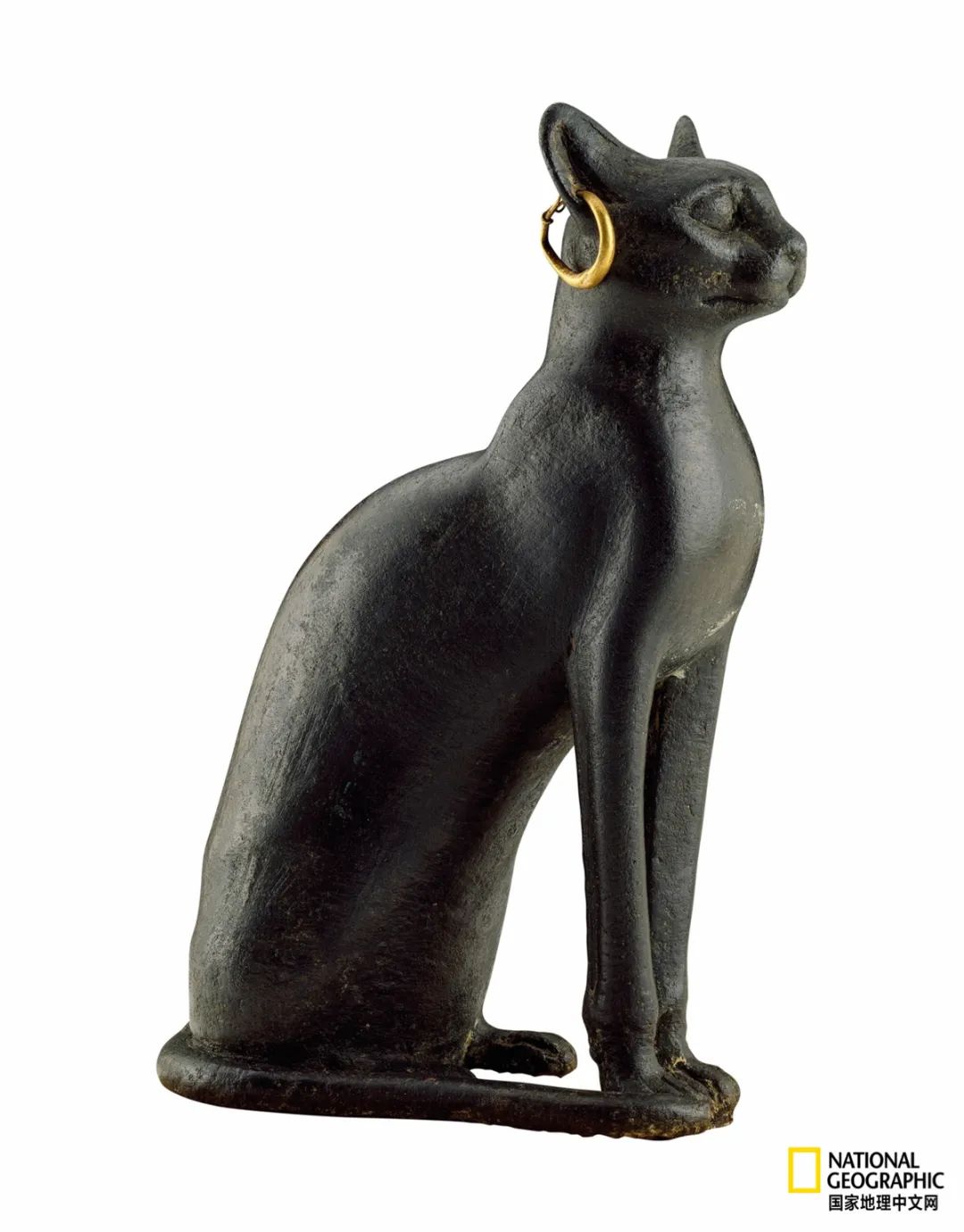 影鳄96猫怎么那么贱_猫影_猫影幻舞