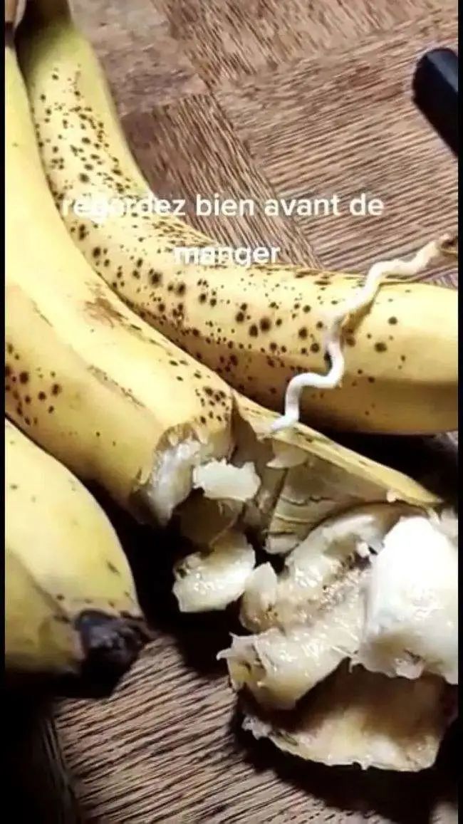 香蕉视频三级_香蕉视频三级_香蕉视频三级