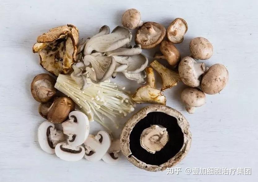 麻菇菌_麻菇炒什么好吃_麻菇