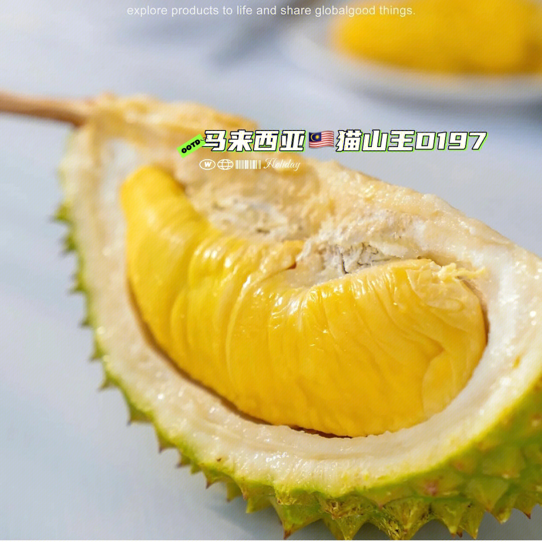 榴莲社区_榴莲社区_榴莲社区