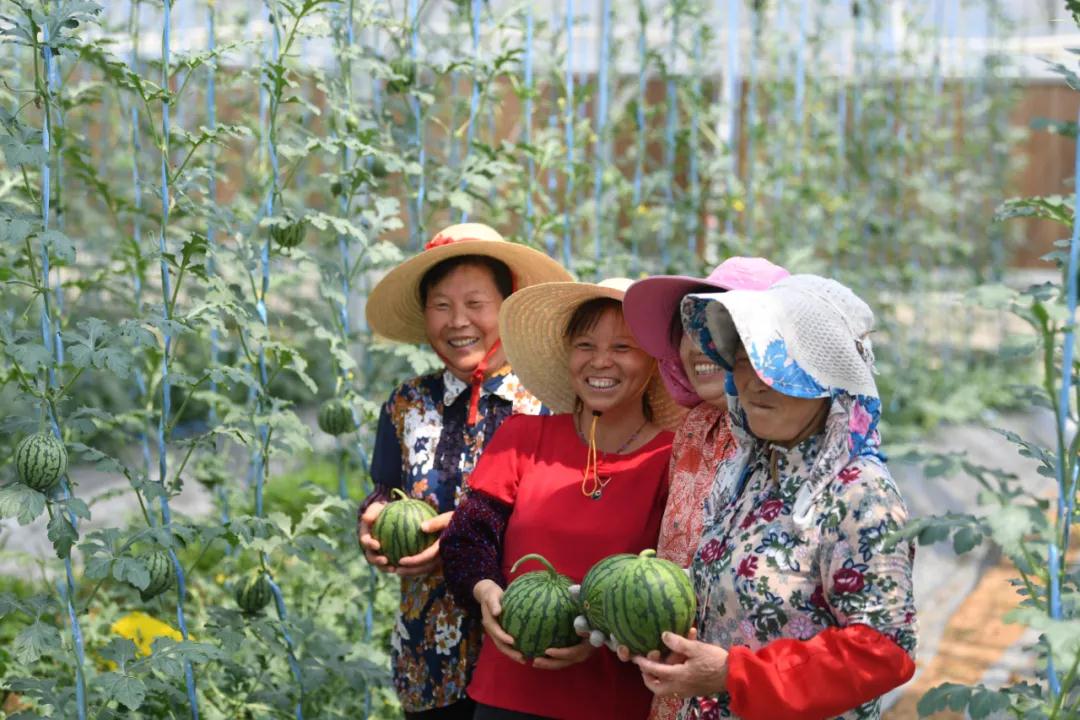 西瓜村种冬瓜绕口令_西瓜村完美攻略_西瓜村