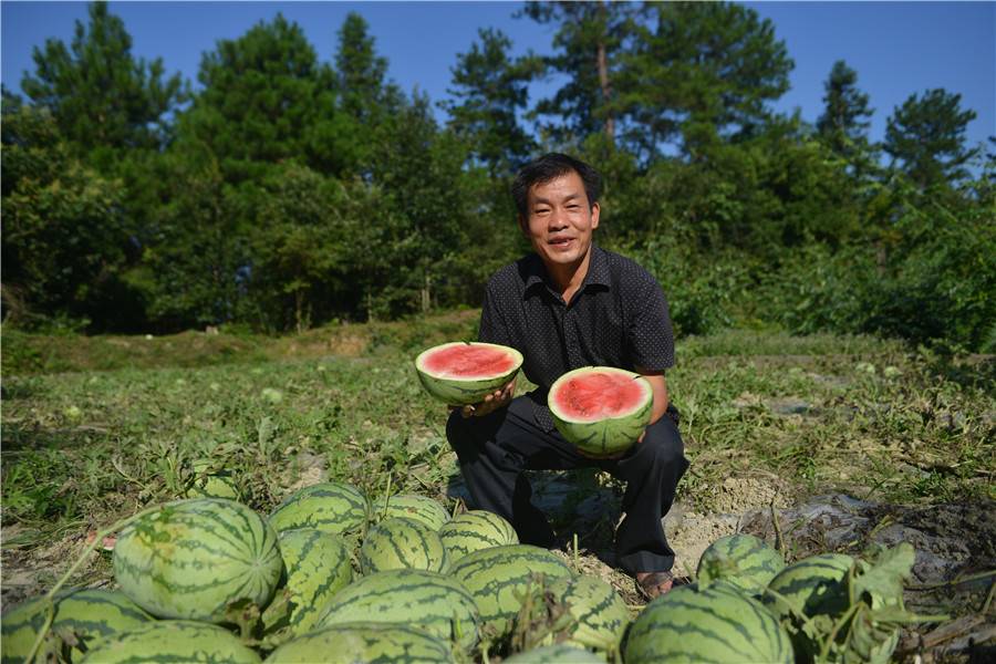 西瓜村_西瓜村完美攻略_西瓜村种冬瓜绕口令