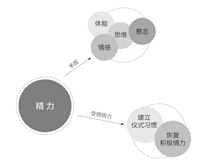 心理维度是什么意思_人的精神结构与心理发展的维度包括_心理维度是指