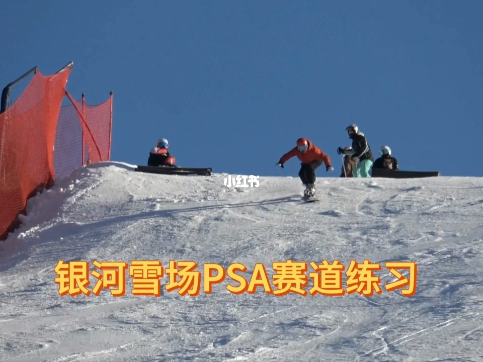 滑雪大冒险电脑版_滑雪冒险电脑版大全_滑雪大冒险单机版