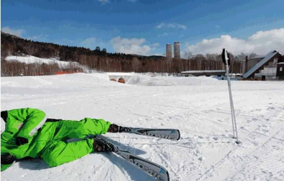 滑雪冒险电脑版大全_滑雪大冒险单机版_滑雪大冒险电脑版