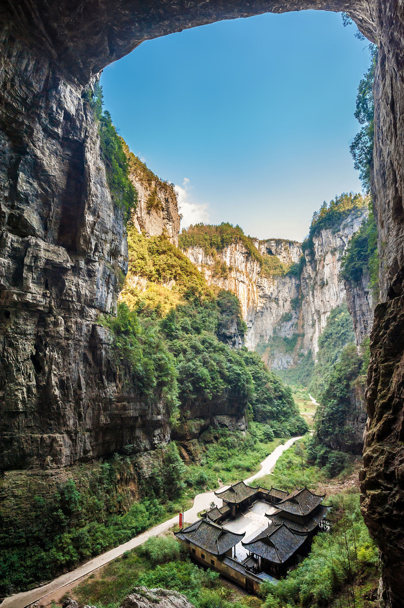 山城青叶图片_山城青叶奥义图_山城青叶