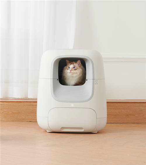 搜磁力猫_搜索磁力猫引擎_磁力猫官网