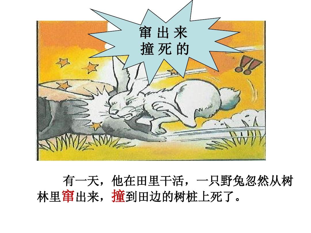 兔子砍树_树桩上的兔子_树桩打兔子