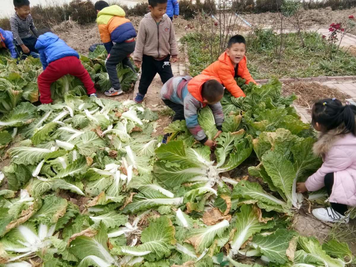白菜游戏视频_白菜游戏大厅_大白菜游戏