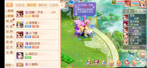 泰莎的新宠物：小花，可爱的小猫咪