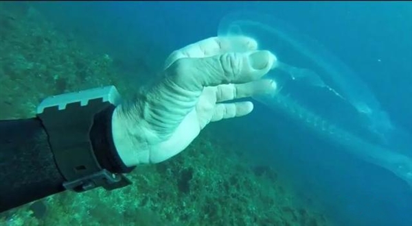 深海迷代码代码_深海迷航代码最新_深海迷航秘籍代码大全