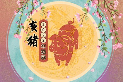 出生属猪的年份_属猪是哪年出生的_生肖猪出生的年份