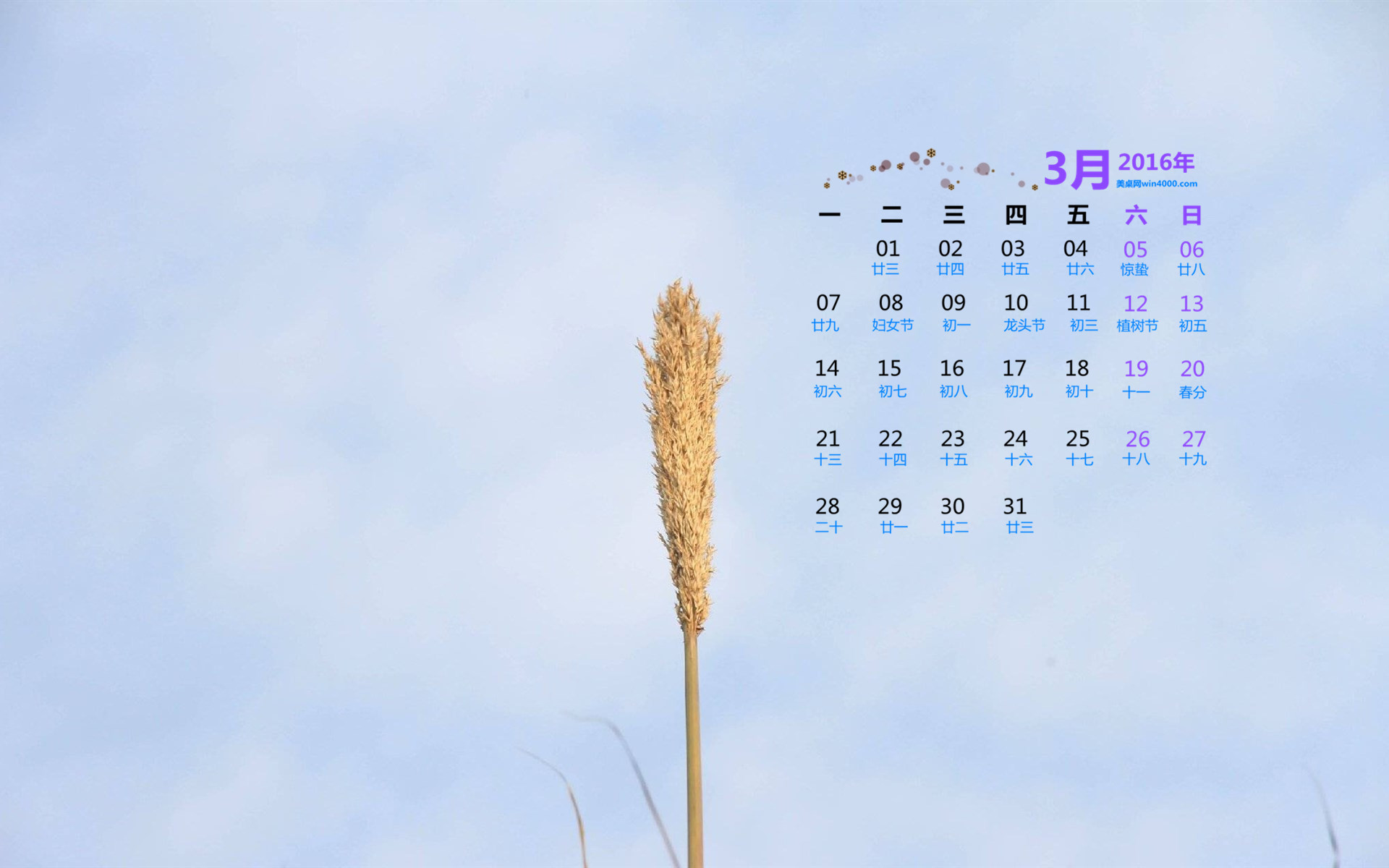 3月日历-三月，时间管理和活动策划，让校园充满活力