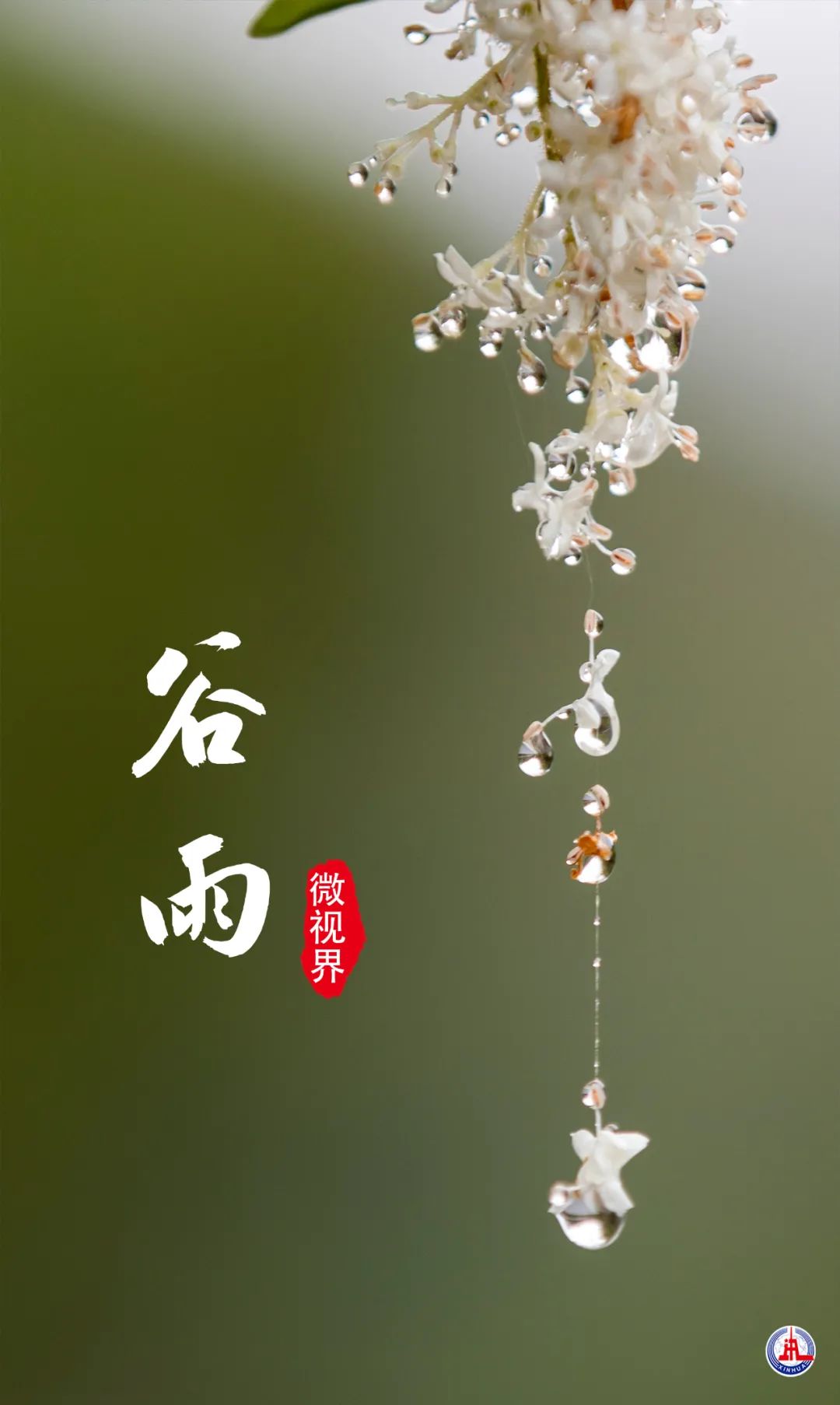 谷雨古诗四句，领略春天的绚丽与生机