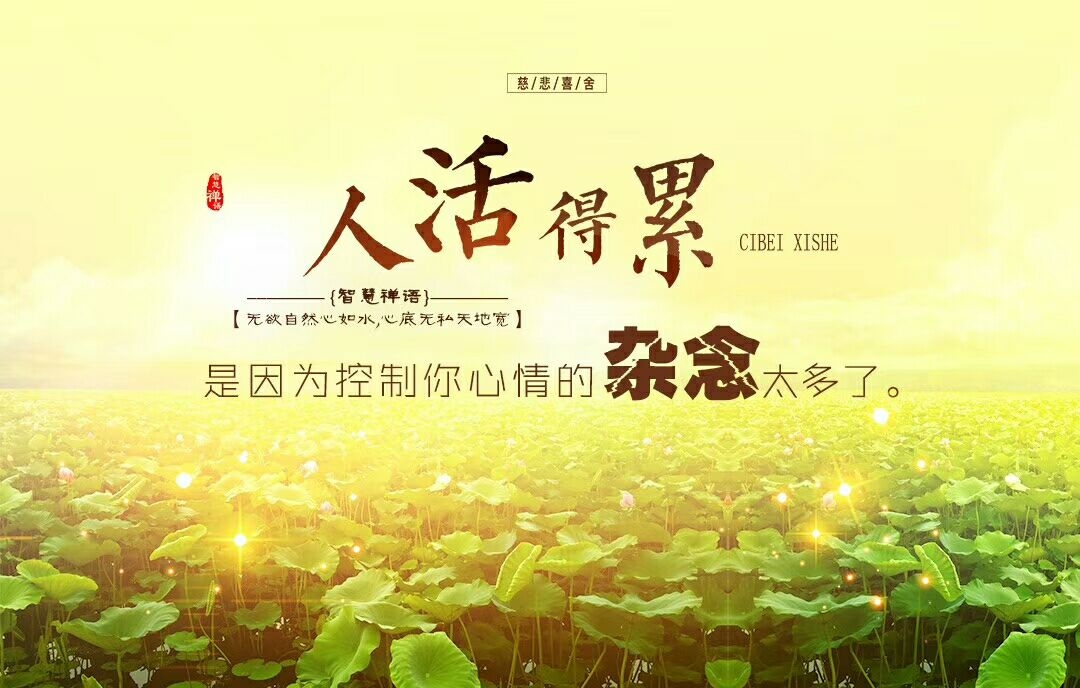 虚荣vainglory-虚荣并非自负，而是励志的力量
