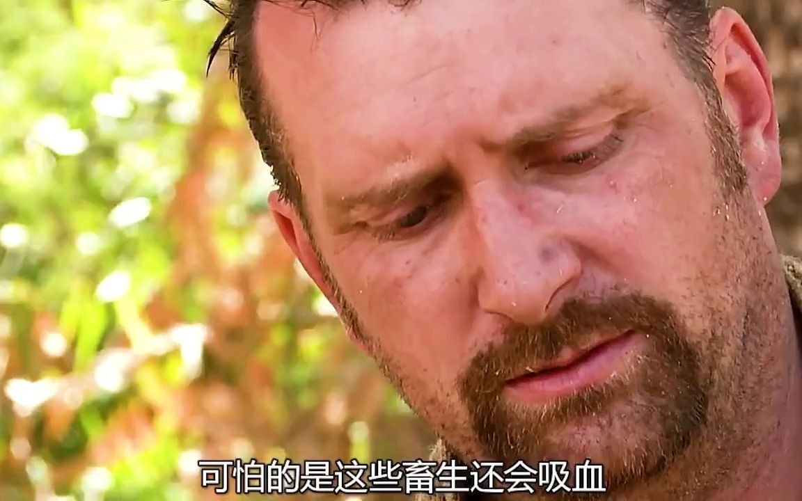 如何玩手机版荒野求生游戏_游戏版的荒野求生_荒野求生手机游戏