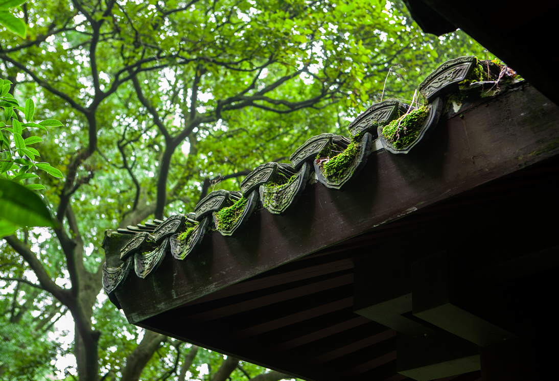 鲁班孙尚香谁更强_孙鲁班_鲁班孙尚香对线