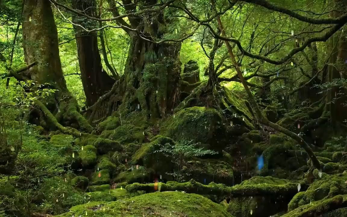 五十铃皮卡_五十铃皮卡2023款dmax_千斗五十铃