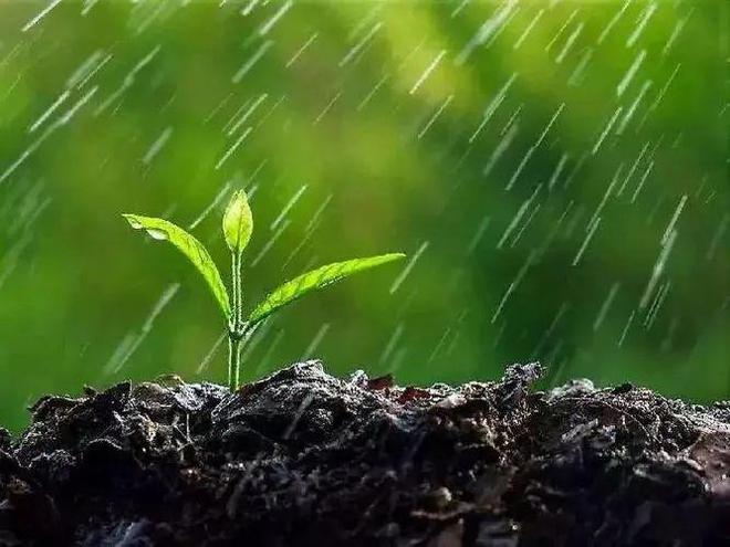 永火_火口的两人_火疖子